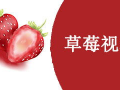 草莓视频在线,带你探索短视频世界的无限魅力
